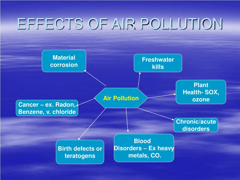 one minute presentation on pollution