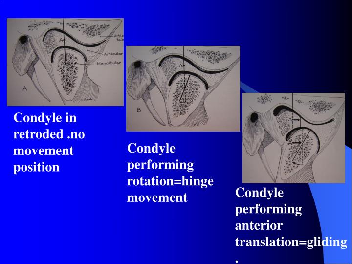 PPT - TEMPROMANDIBULAR JOINT AND MOVEMENTS MANDIBULAR [ T M J ...