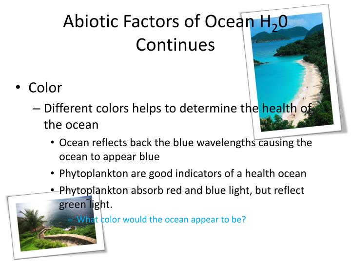 PPT Physical Properties of Ocean Water PowerPoint Presentation ID