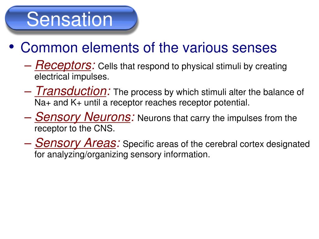 the assignment of meaning to sensations is