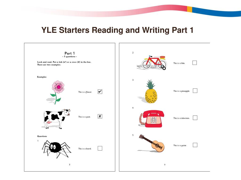Sample exam. Cambridge Exams Starters задания. Yle Starters reading and writing Part 1. Yle Starter задание. Starters reading yle.