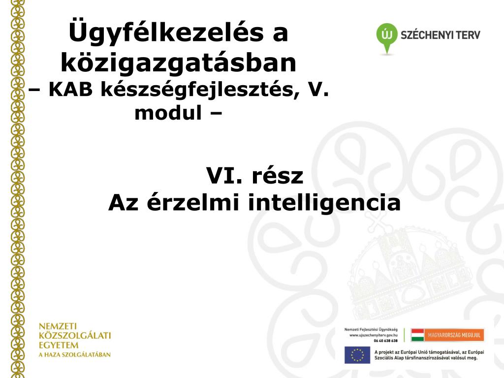 PPT - Szerzők: Nagy Péter, Salamon Hugó PowerPoint Presentation, free  download - ID:6415940