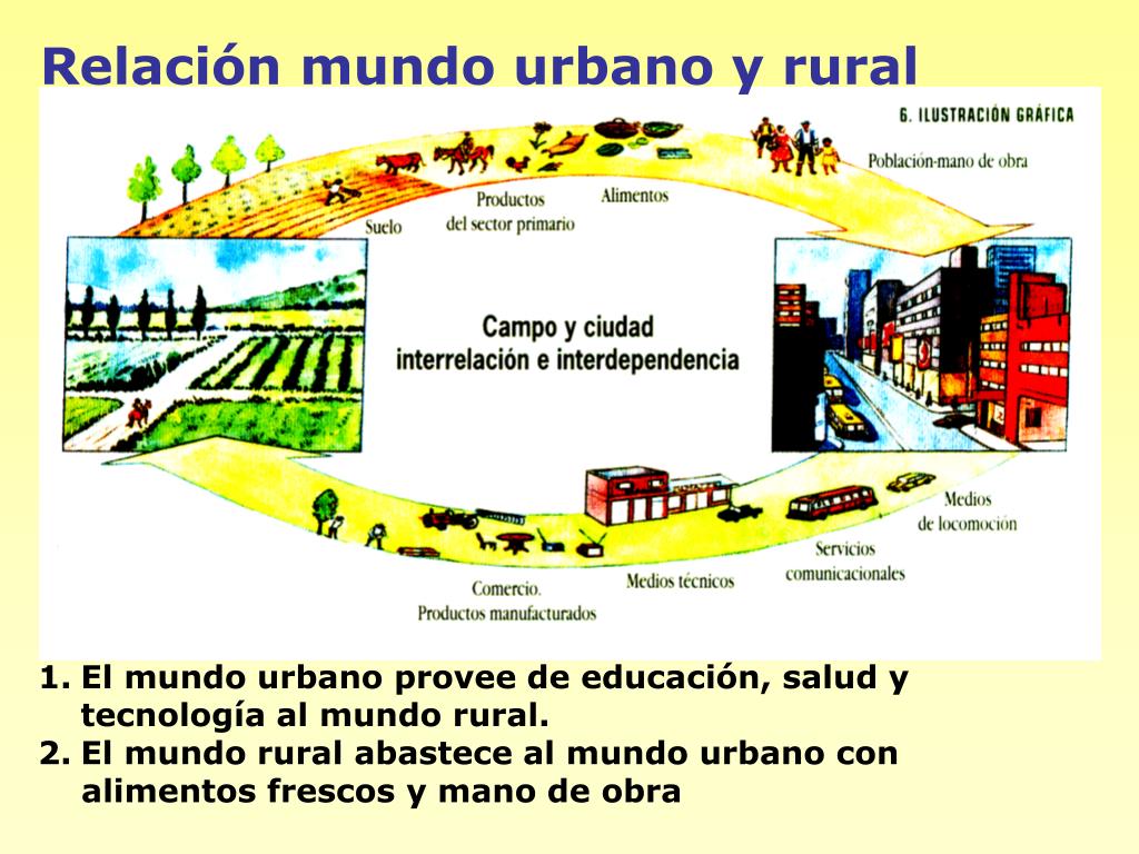 PPT - SISTEMA URBANO-RURAL PowerPoint Presentation, free download - ID