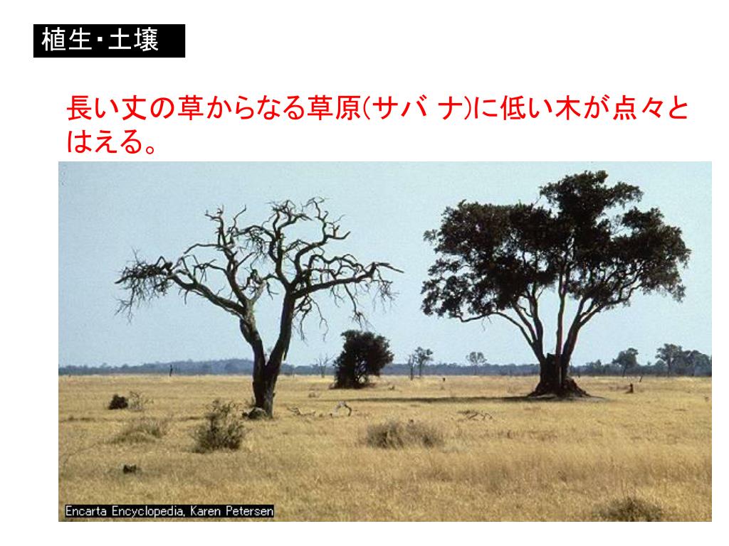 Ppt 世界の気候 ケッペン編 Powerpoint Presentation Free Download Id Ppt 世界の気候 ケッペン編 Powerpoint Presentation Free Download Id
