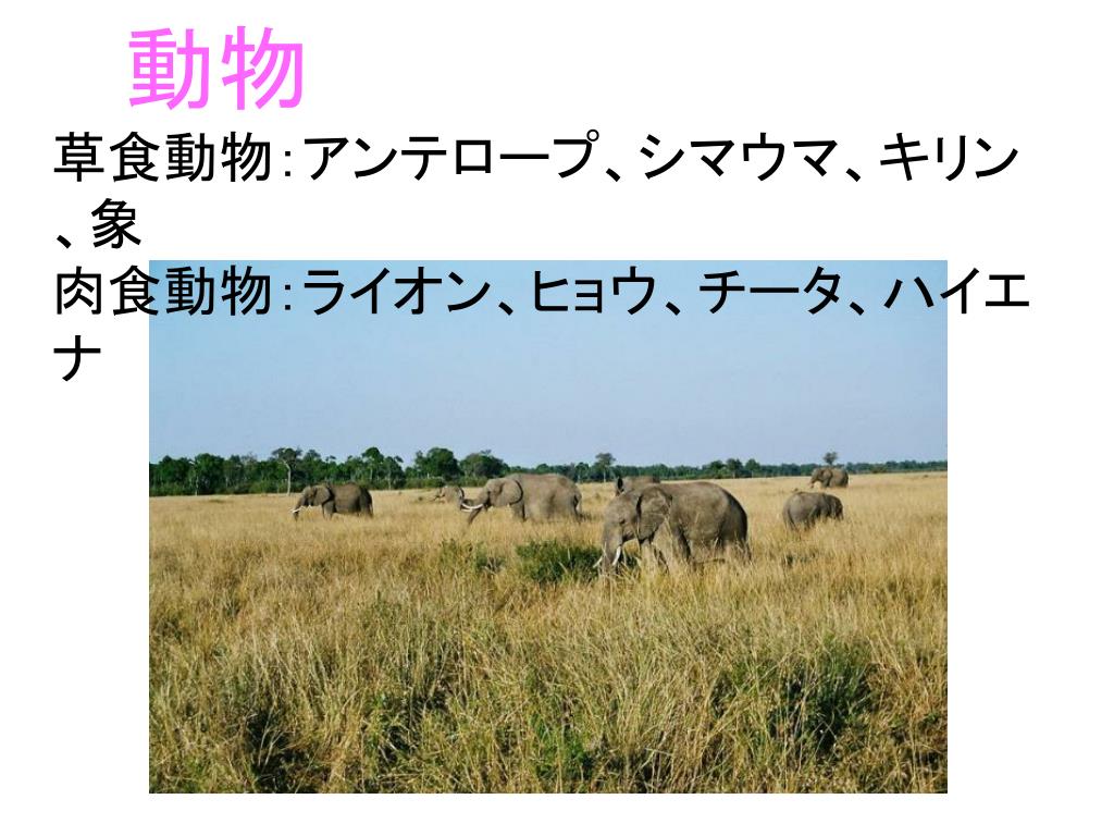 Ppt 世界の気候 ケッペン編 Powerpoint Presentation Free Download Id Ppt 世界の気候 ケッペン編 Powerpoint Presentation Free Download Id