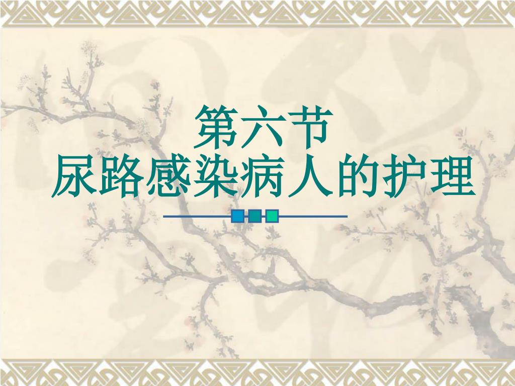 Ppt 第六节尿路感染病人的护理powerpoint Presentation Free Download Id Ppt 第六节尿路感染病人的护理powerpoint Presentation Free Download Id