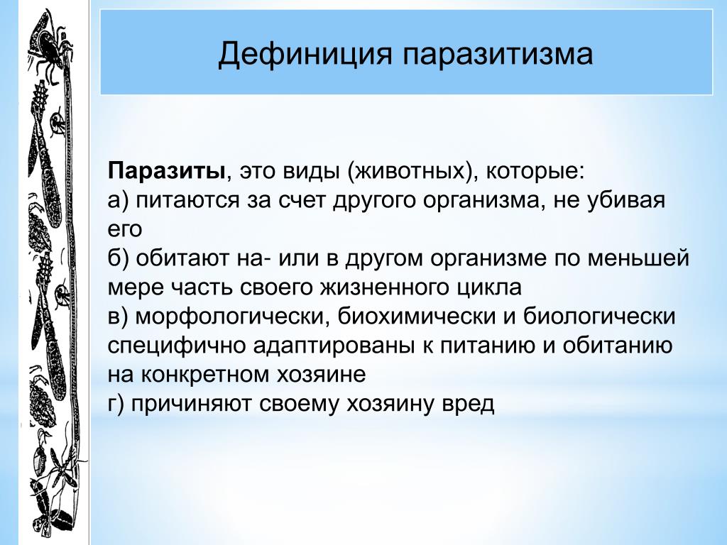 Дефиниция это. Виды паразитизма животных. Черты паразитизма. Особенности паразитизма. Примеры паразитизма в биологии.