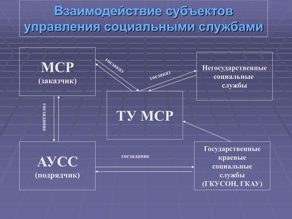 Субъект в проекте это