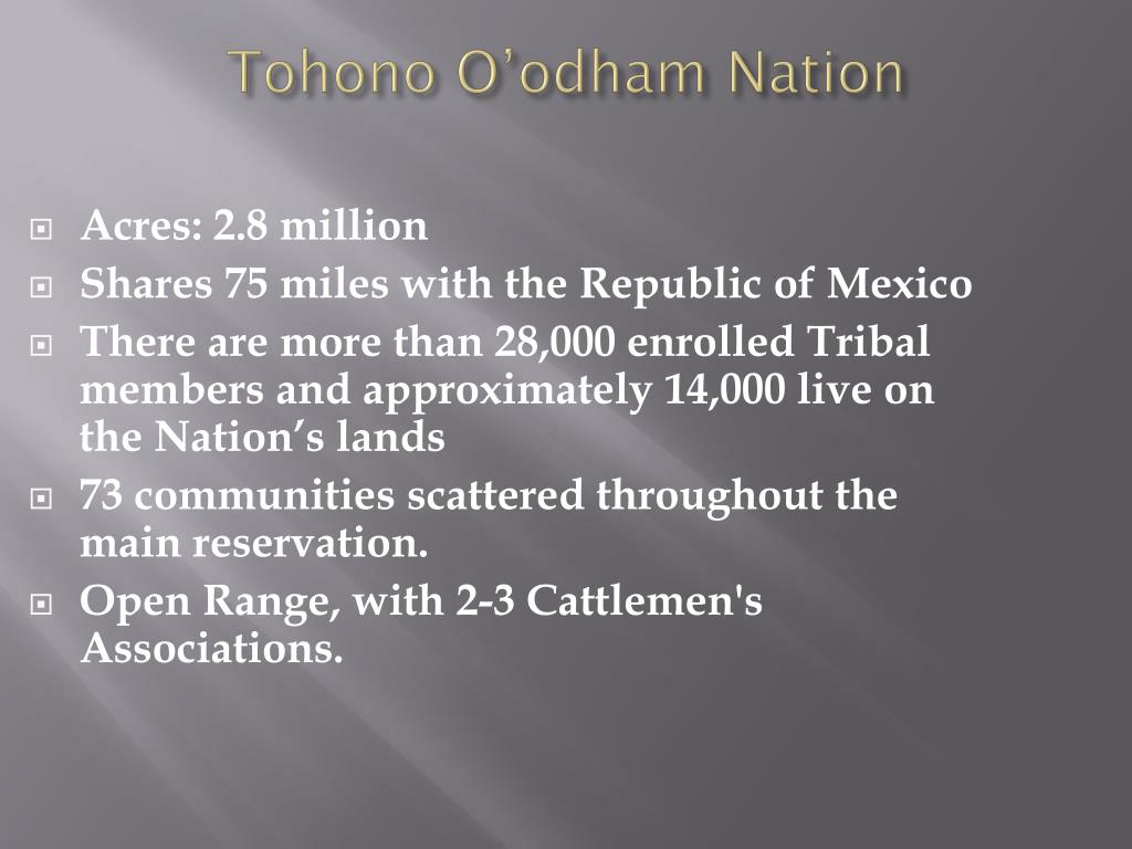 A Diocese With a Difference: How the Tohono O'odham Nation Owns a Piece of the Catholic Church