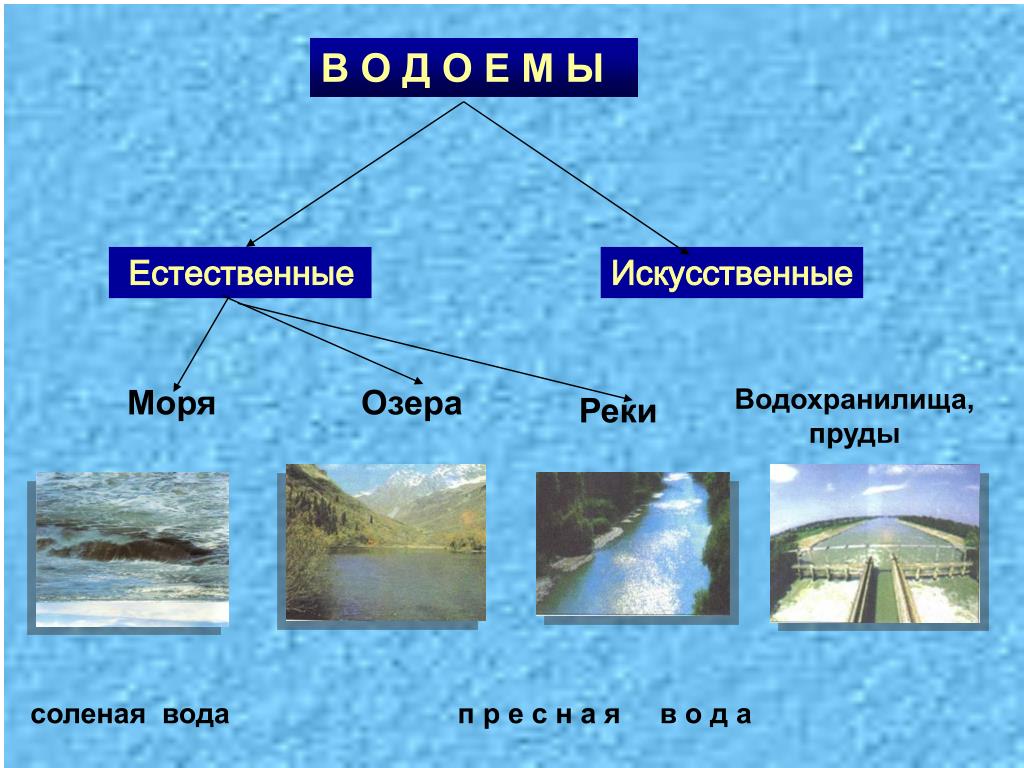 Примеры рек и озер. Искусственные и Естественные водоемы Краснодарского края. Озера пруды водохранилища. Водоемы окружающий мир. Искусственные озера водохранилища.