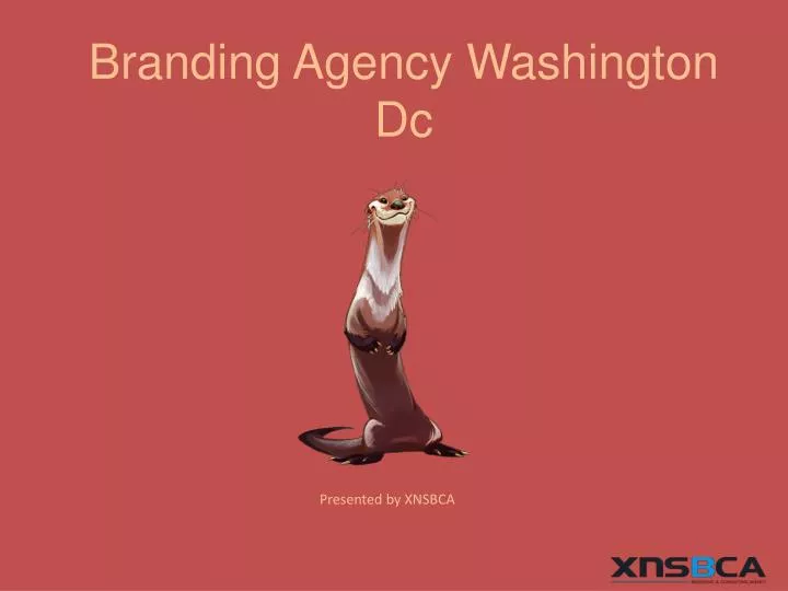 branding agency washington dc n.