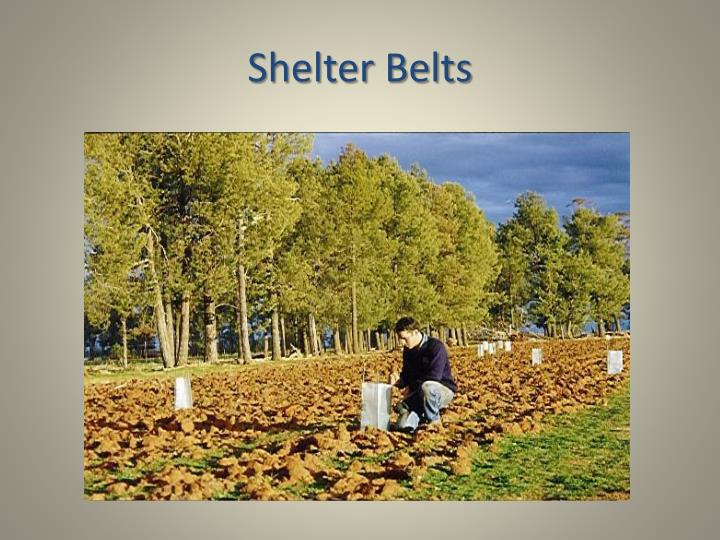 PPT Soil A Renewable Resource PowerPoint Presentation ID6435182