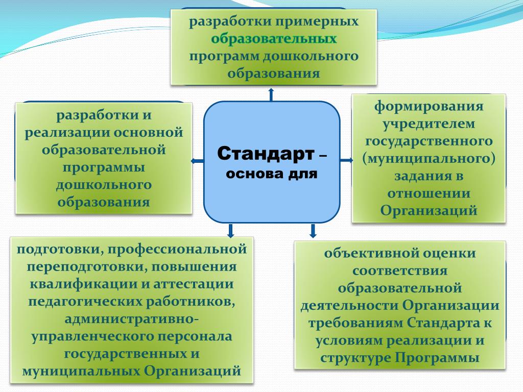 Образовательные программы дошкольного образования входят в