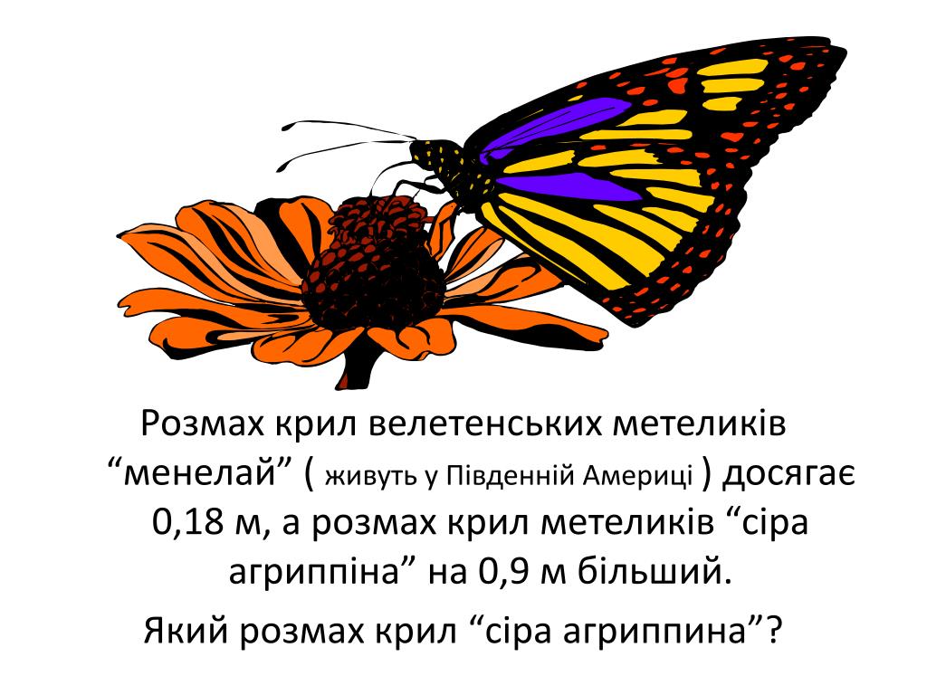 Характеристика крил. Вірші про метелика який летил на світло.