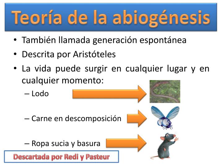 PPT - El origen de la vida PowerPoint Presentation - ID:6442867