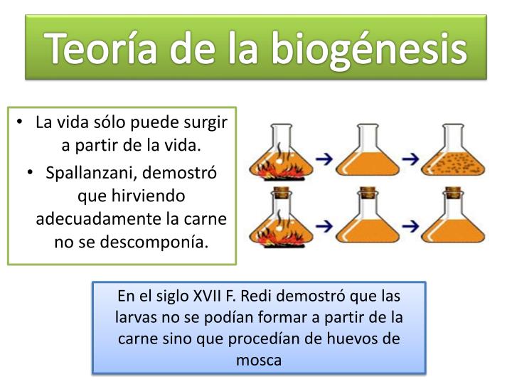 PPT El origen de la vida PowerPoint Presentation ID