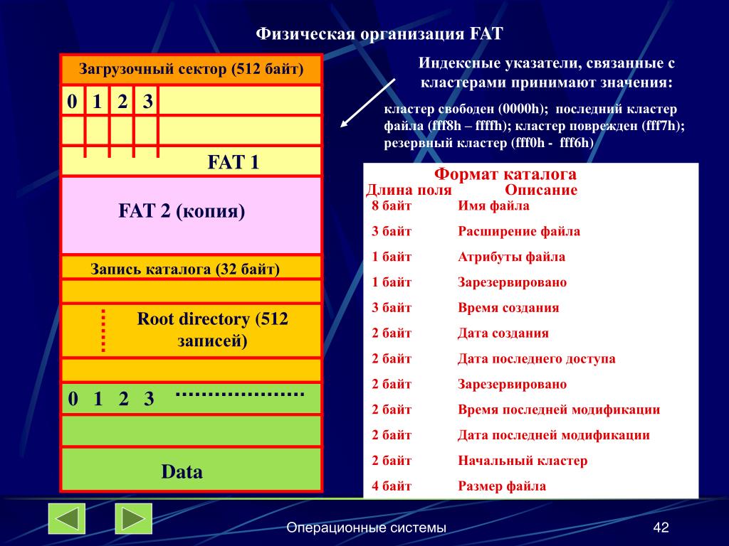 Физическая организация файла. Физическая организация fat. Организация файловой системы fat. Структура диска в файловой системе fat.