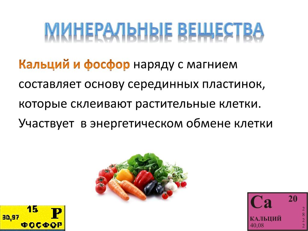 Кальций магний фосфор Кальций магний фосфор