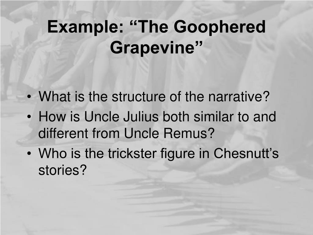 the goophered grapevine