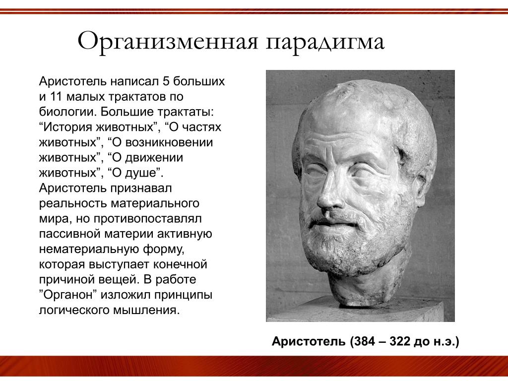 PPT - ОСНОВЫ ЭКСПЕРИМЕНТАЛЬНОЙ БИОЛОГИИ PowerPoint Presentation - ID:3494193