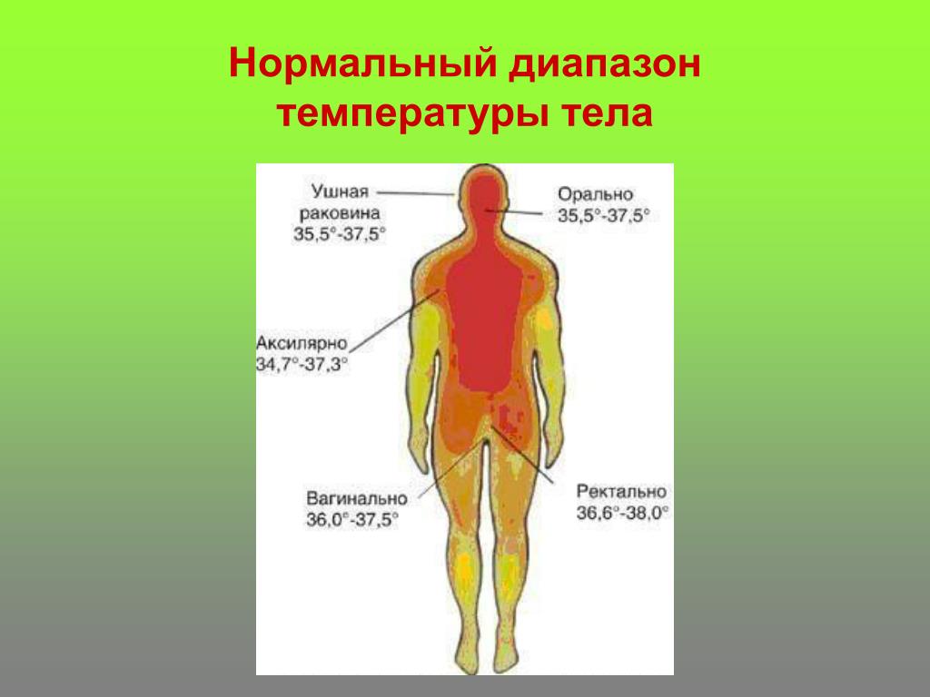 Области тела человека температура. Температура тела. Нормальный диапазон температуры тела. Диапазон нормальной температуры у человека. Границы нормальной температуры тела.