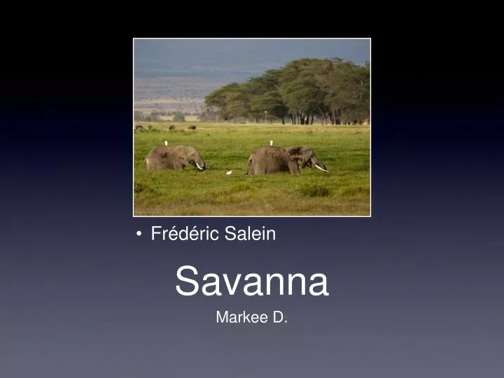 savanna n.