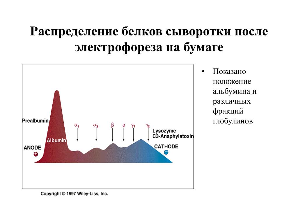 Распределение белков