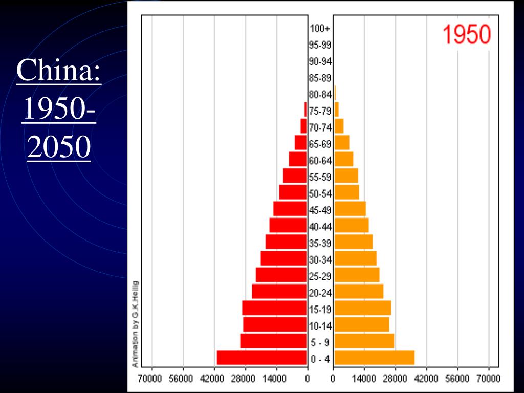 PPT Population Pyramids and Population Density Maps PowerPoint