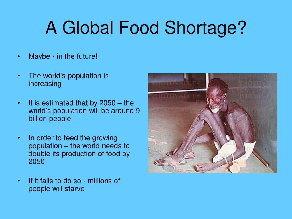 PPT A Global Food Crisis PowerPoint Presentation, free download ID