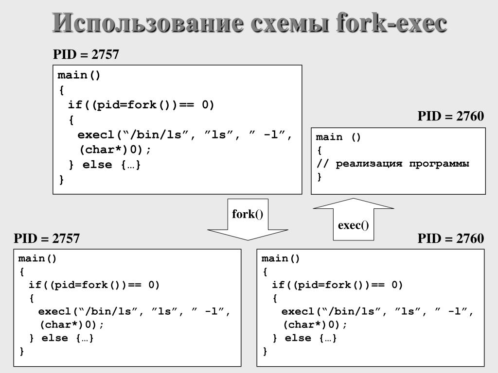 Exec main. Fork процессы. Fork программа. Fork exec. Как создать процесс форк.