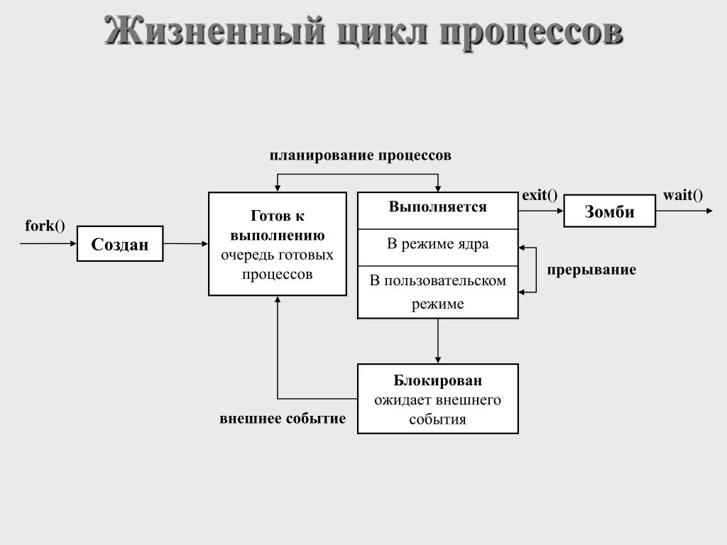 Жизненный цикл создания систем. Жизненный цикл процесса схема. Жизненный цикл процесса операционной системы. Жизненный цикл процесса в ОС. Основные состояния жизненного цикла процесса.