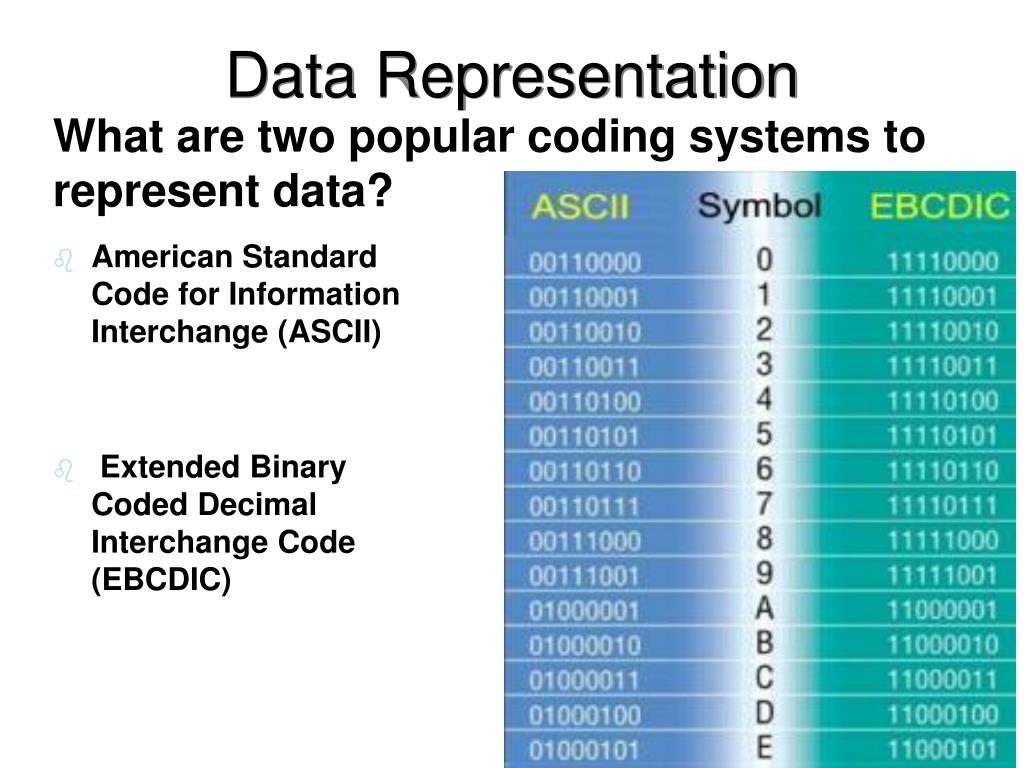 types of data representation in computer