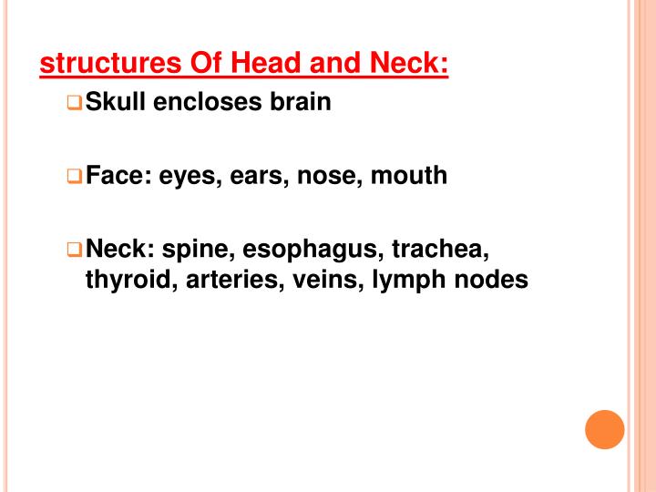 Ppt Assessment Of Head And Neck Prepared By Hamdia Mohammed
