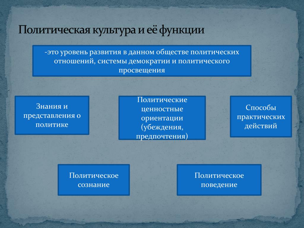 Общество 11 класс политическое поведение презентация