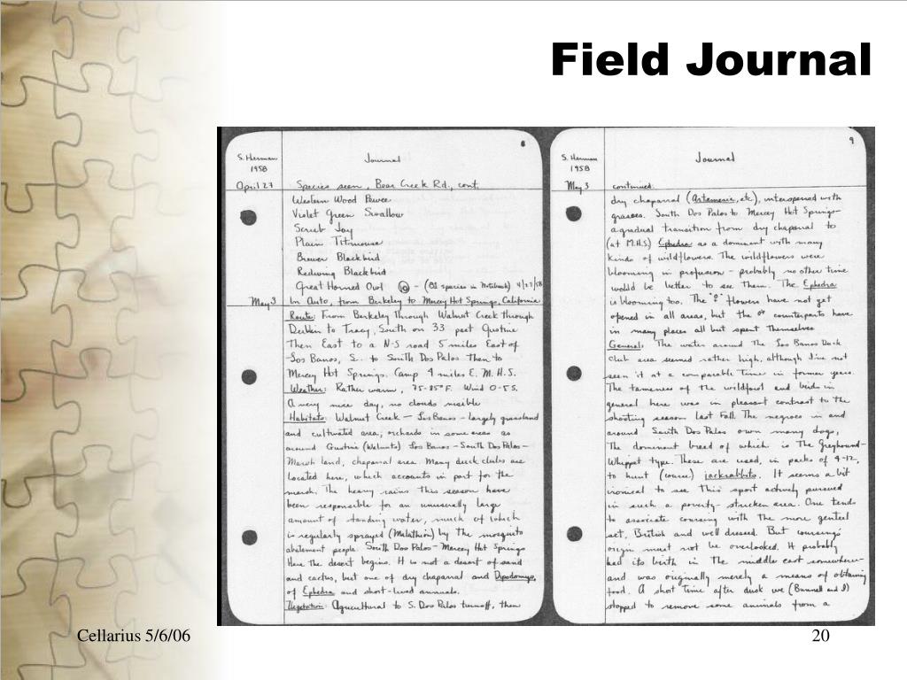field work research journal