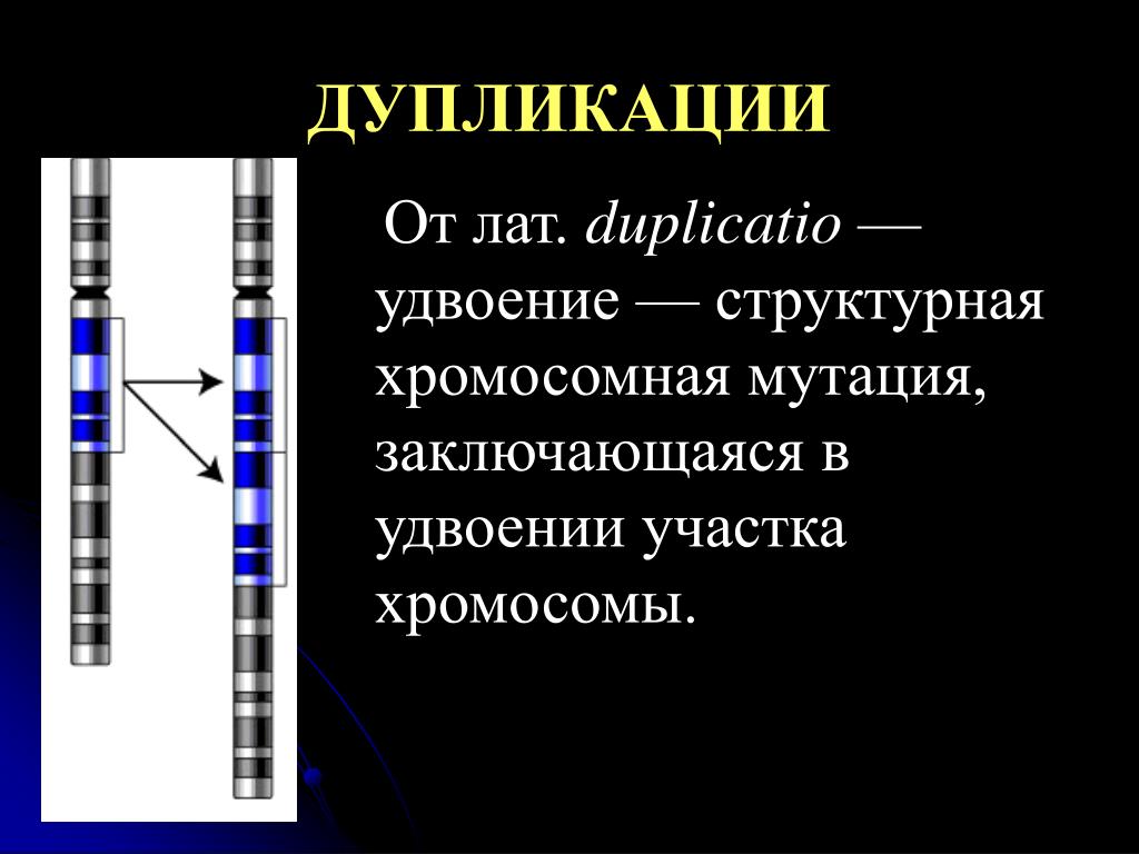 Удвоение участка хромосомы какая мутация. Спутник хромосомы функция. Хромосомы строение и функции.