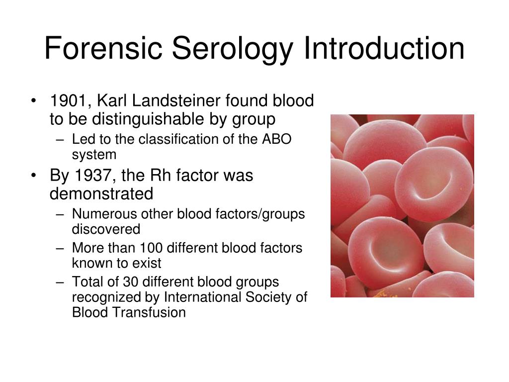 PPT - Chapter 12 Forensic Serology PowerPoint Presentation, Free ...