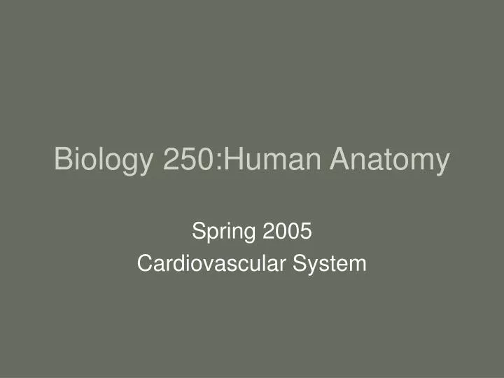 PPT - Biology 250:Human Anatomy PowerPoint Presentation, free download