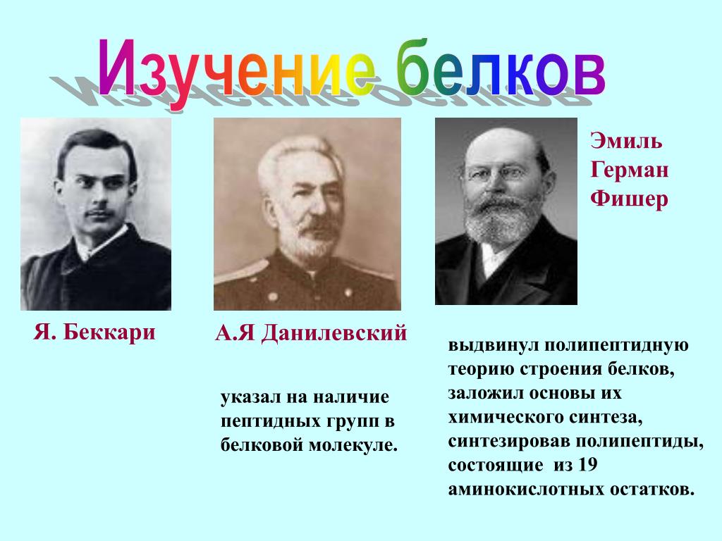 Исследования белков. Успехи в изучении и синтезе белков. История изучения белков. История открытия структуры белков. Теория строения белков.