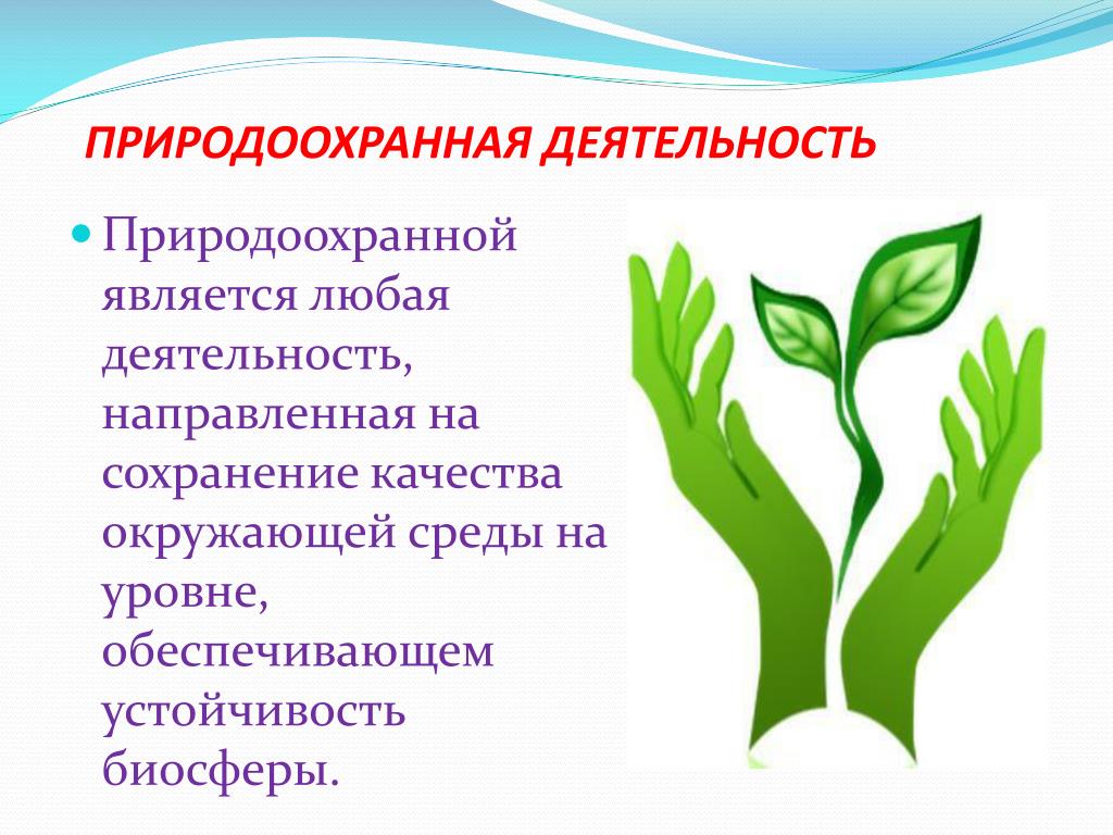 Экологические мероприятия организации