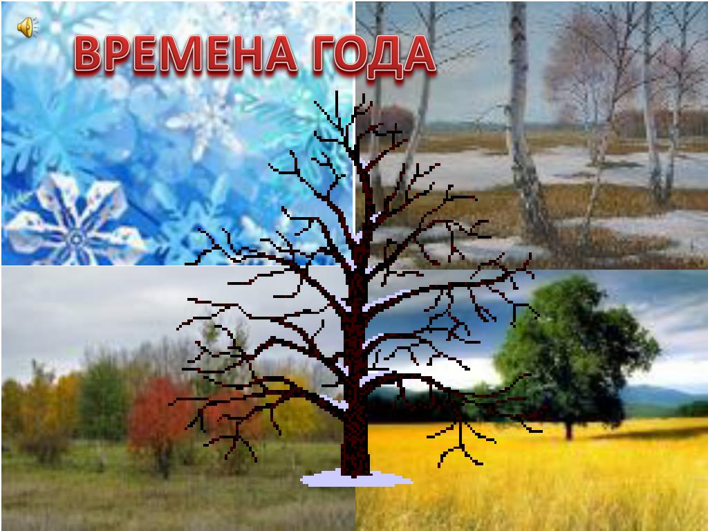 Картинка С Надписью Времена Года