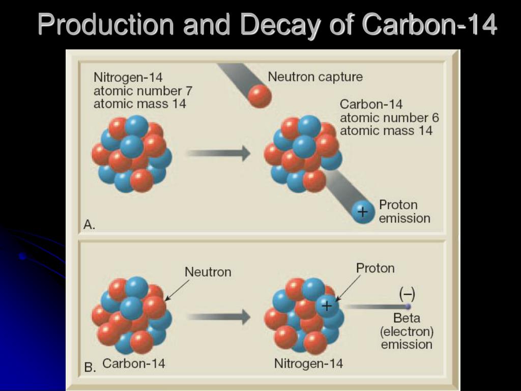 Бета распад углерода 14