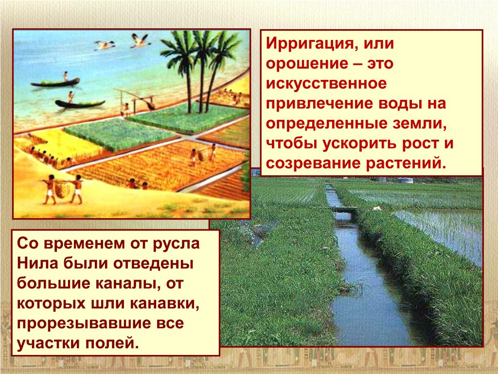 Оросительный канал можно рассматривать как пример фактора