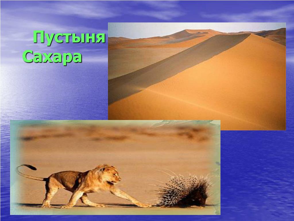 PPT - Путешествие по планете PowerPoint Presentation - ID:3805623