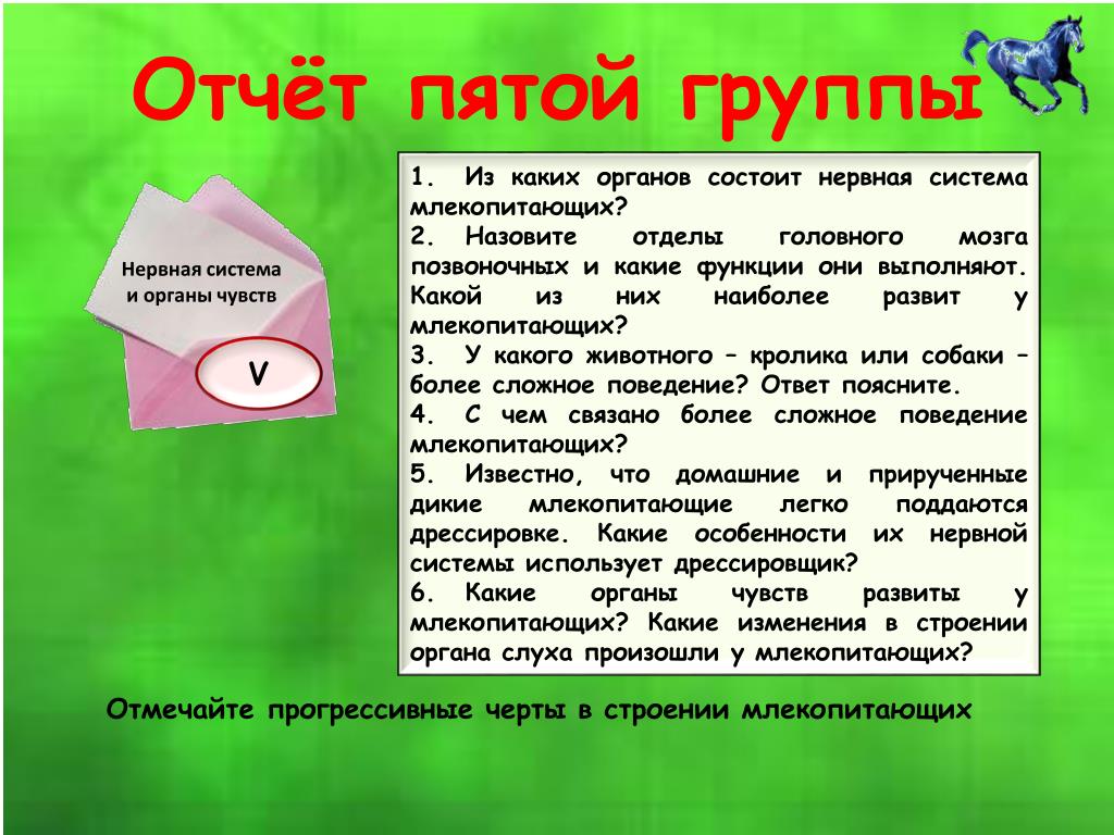 Какие приобретенные особенности строения. Человек умный особенности строения.