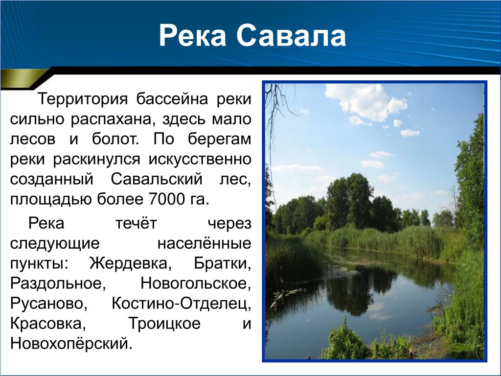 Текст по берегам лесных малых рек. Савала река Воронежская. Савала Тамбовской области. Реки Воронежской области реки Воронежской области. Проект для малых рек.