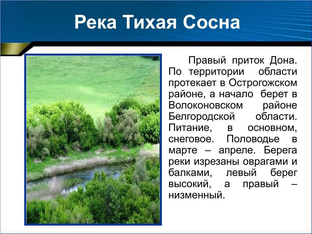 Воронеж сколько рек