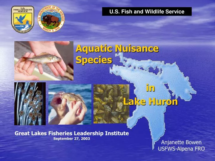 PPT Aquatic Nuisance Species PowerPoint Presentation, free download ID6463047