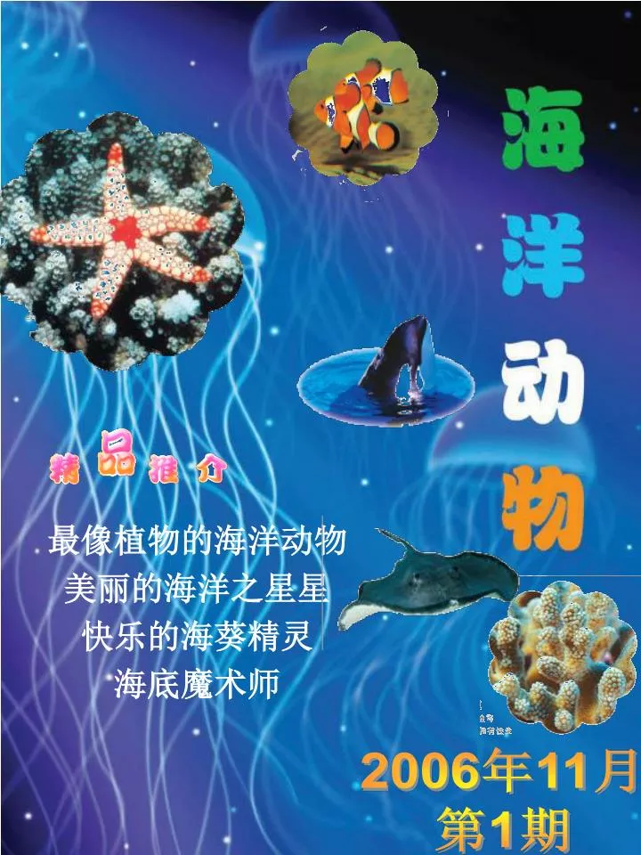 Ppt 最像植物的海洋动物美丽的海洋之星星快乐的海葵精灵海底魔术师powerpoint Presentation Id