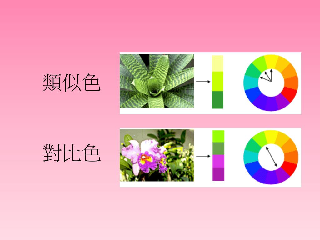 Ppt 色彩遊戲powerpoint Presentation Free Download Id